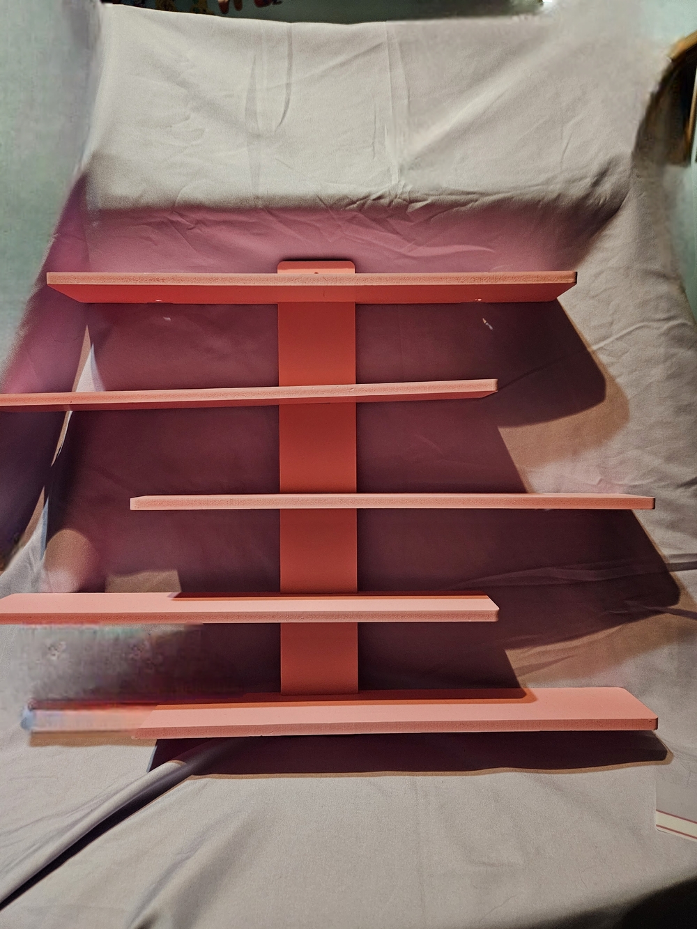 Coral Wall Display Shelf - Home Wall Decor